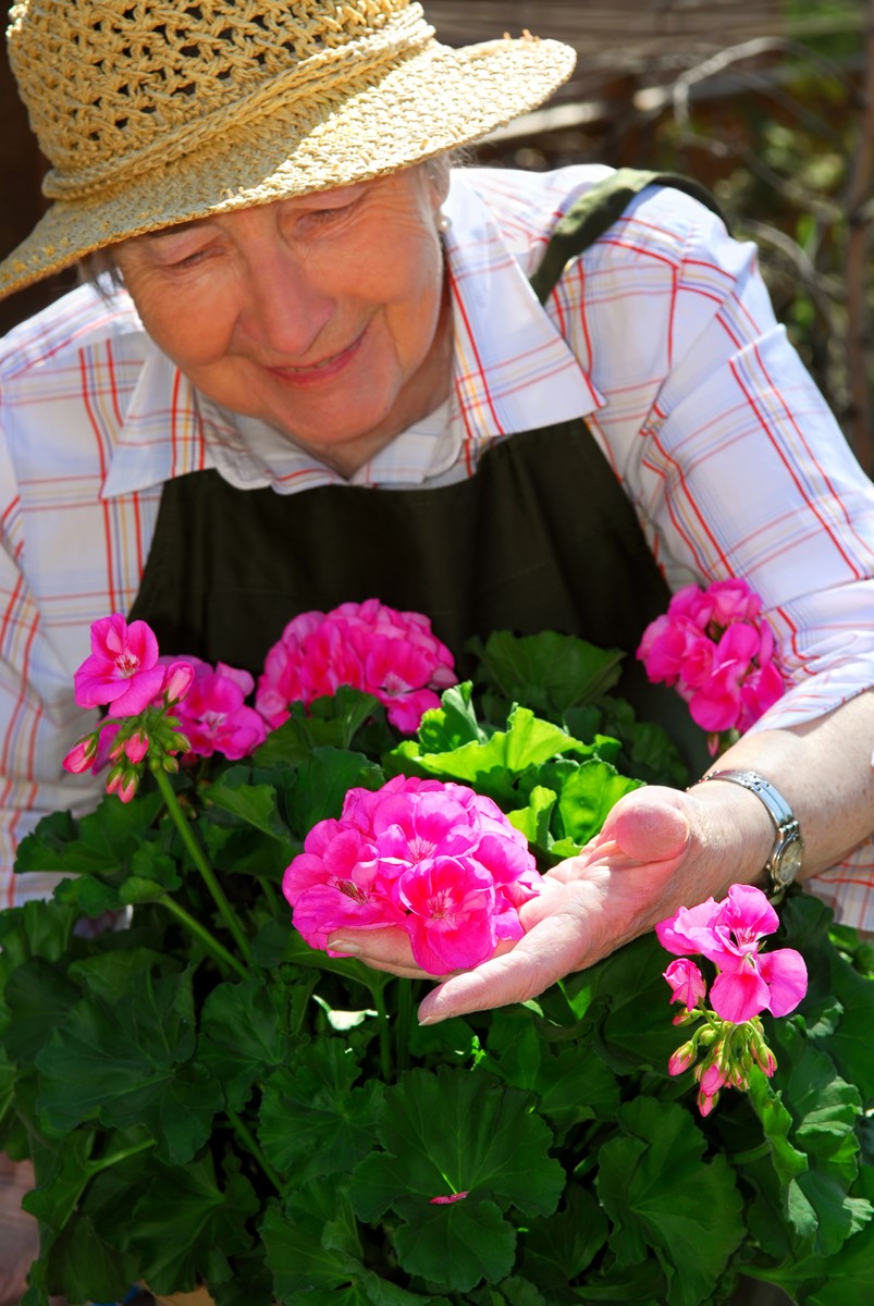 Flower Garden